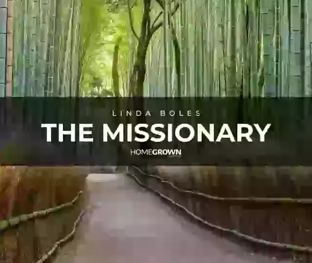 LINDA BOLES RELEASES "THE MISSIONARY"