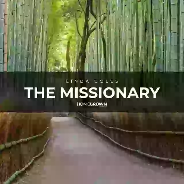 LINDA BOLES RELEASES "THE MISSIONARY"