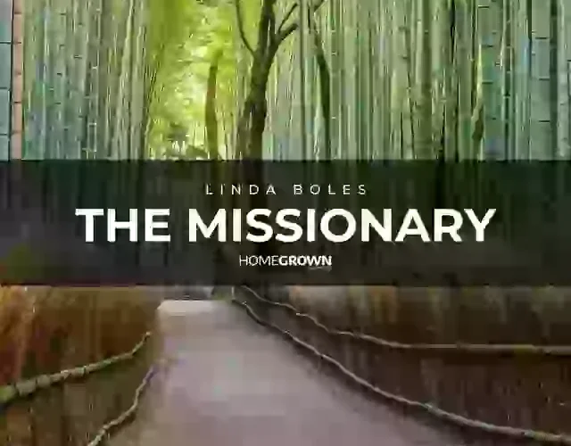 LINDA BOLES RELEASES “THE MISSIONARY”
