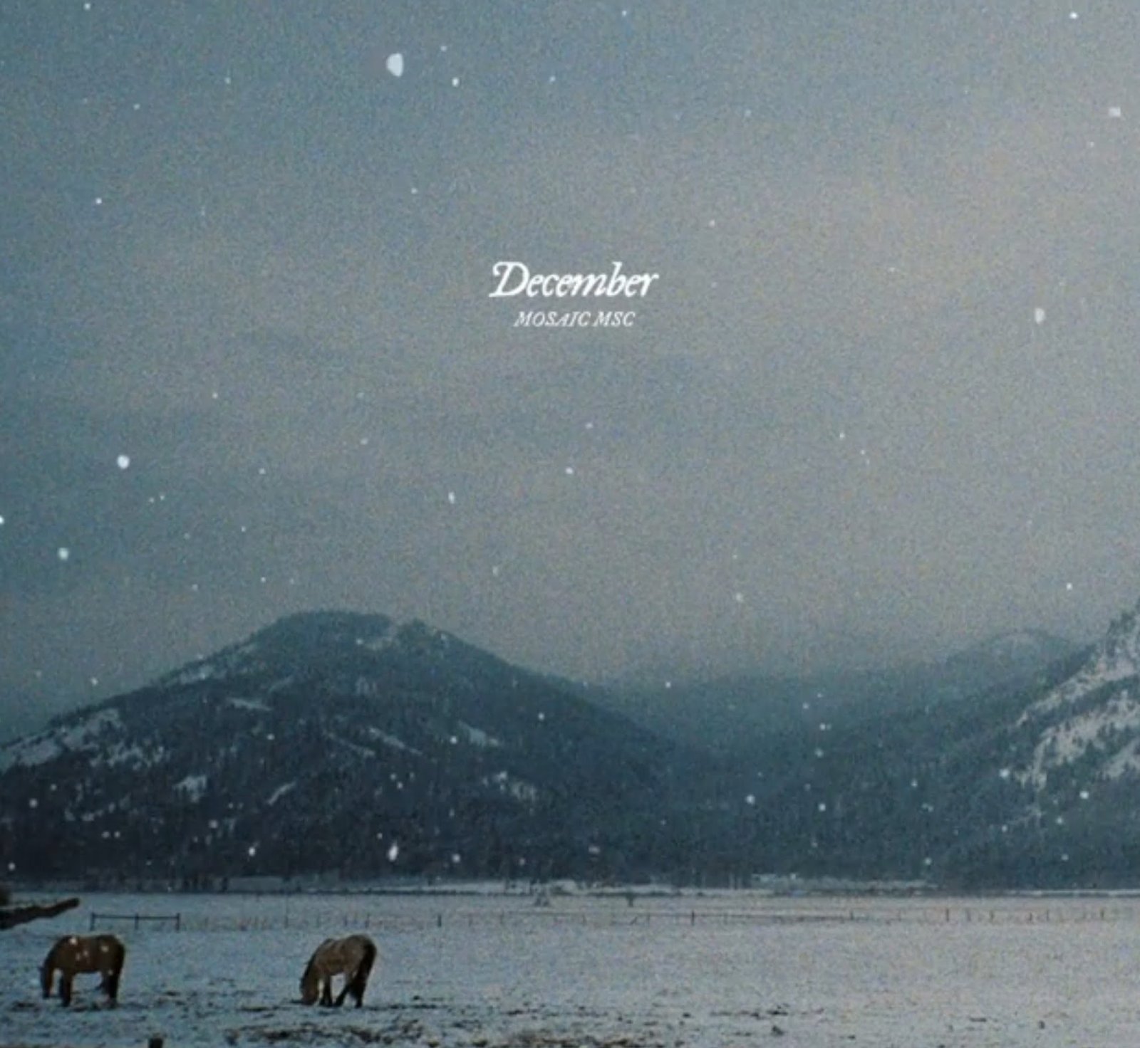 Mosaic MSC Releases ‘December